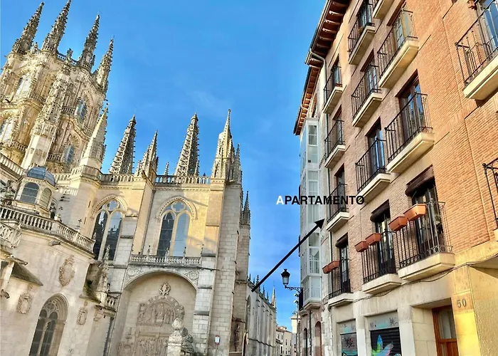 Acariciando La Catedral By Catedral Camino Lejlighed